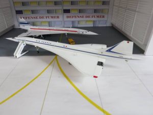 2014-01-22-Concorde F-WTSS (Roland Zephir)
